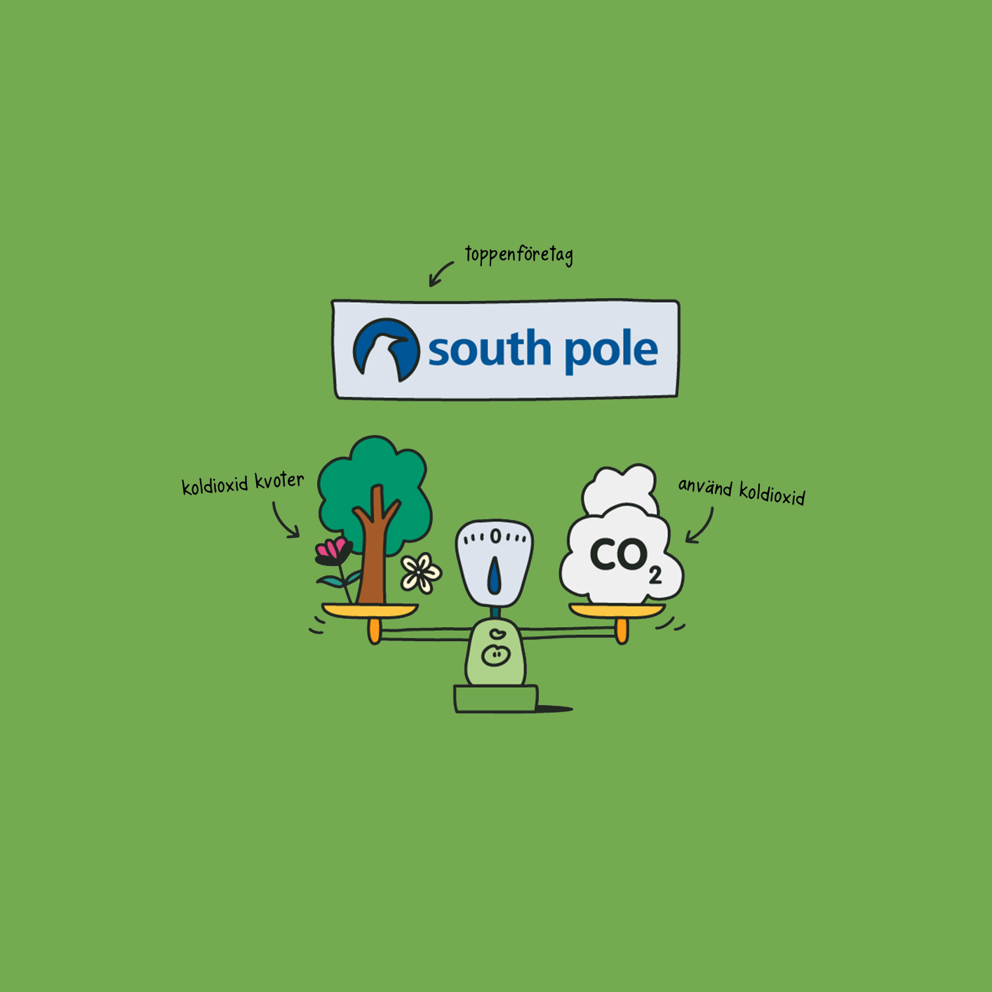 south pole