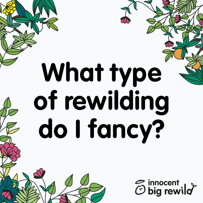 rewilding