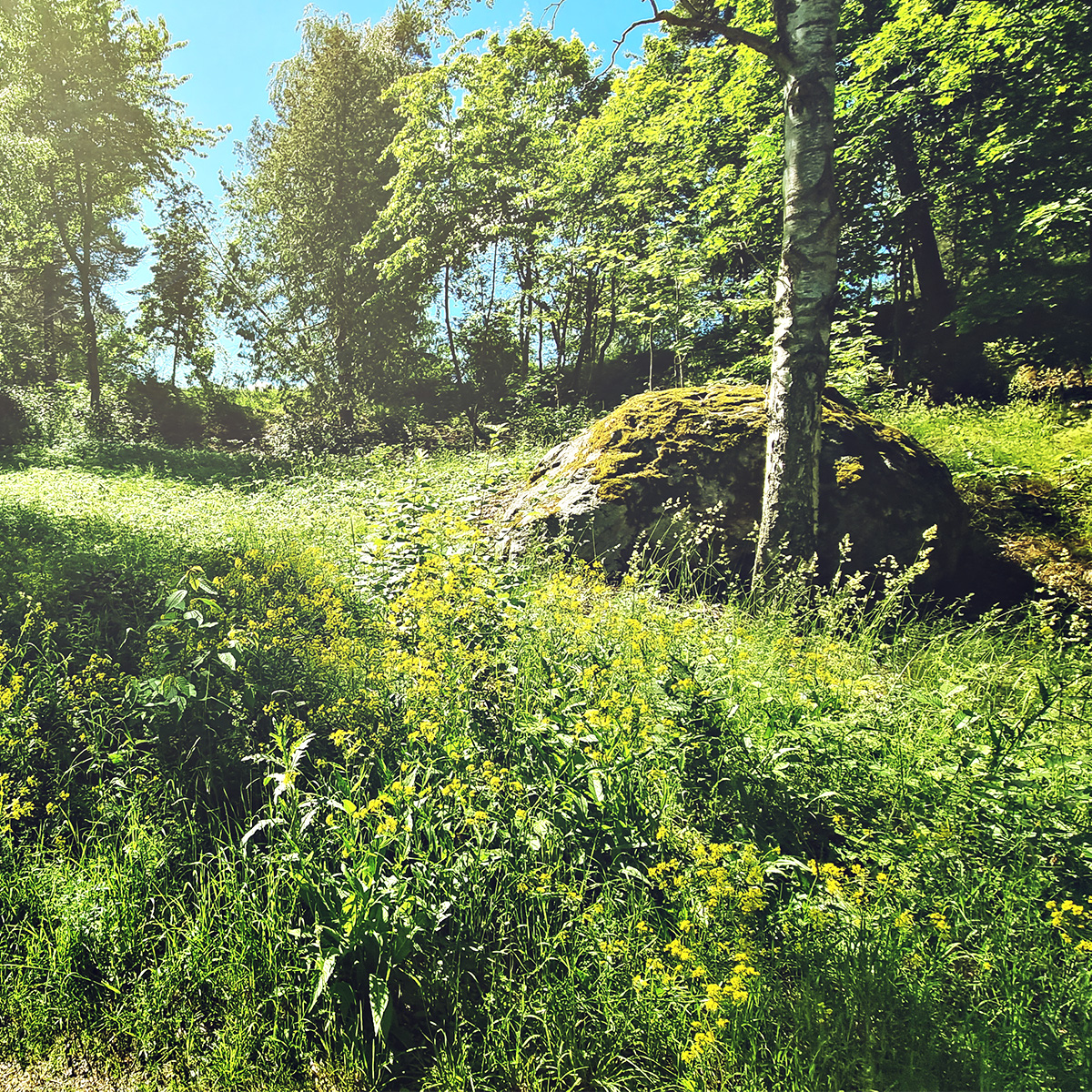 nature