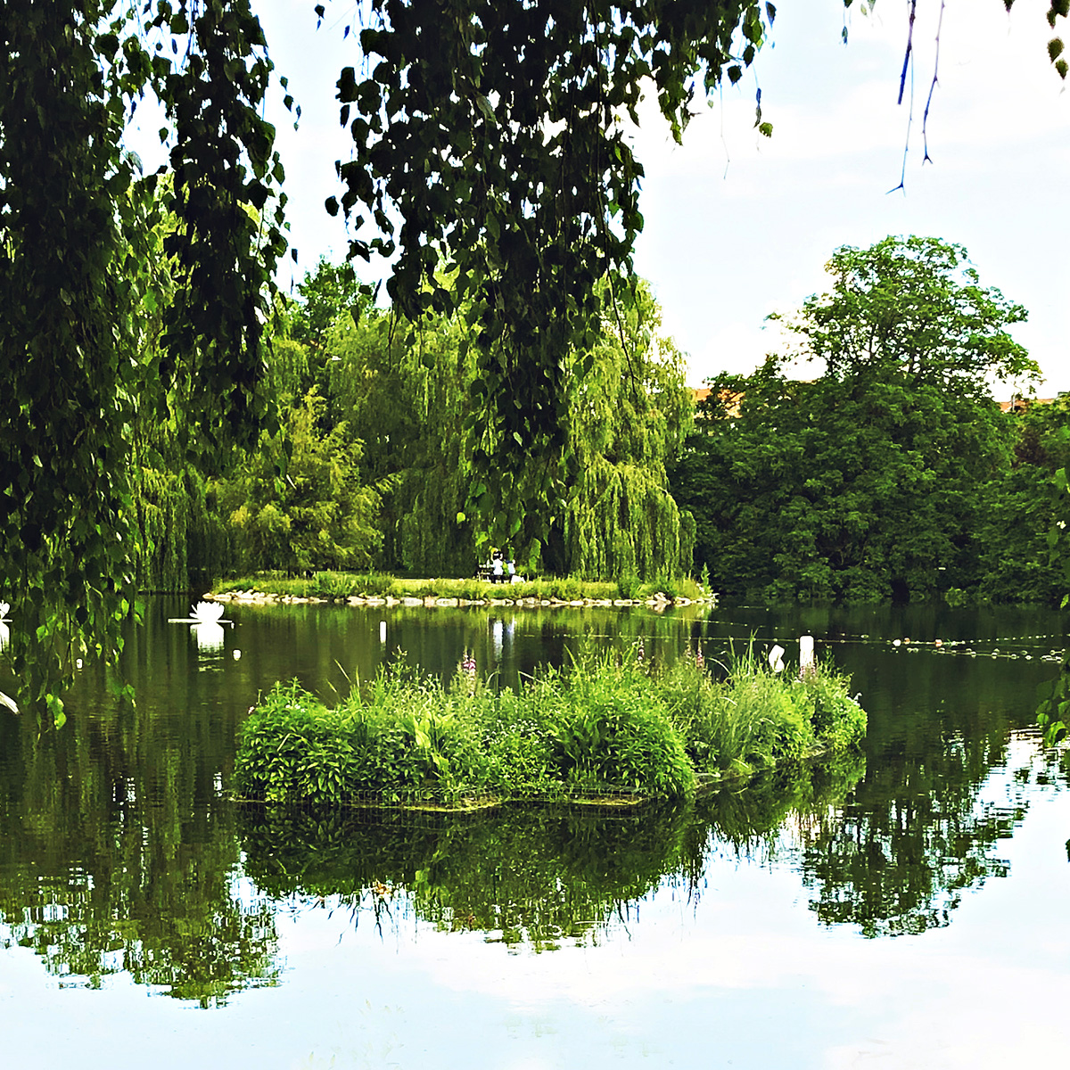 pond
