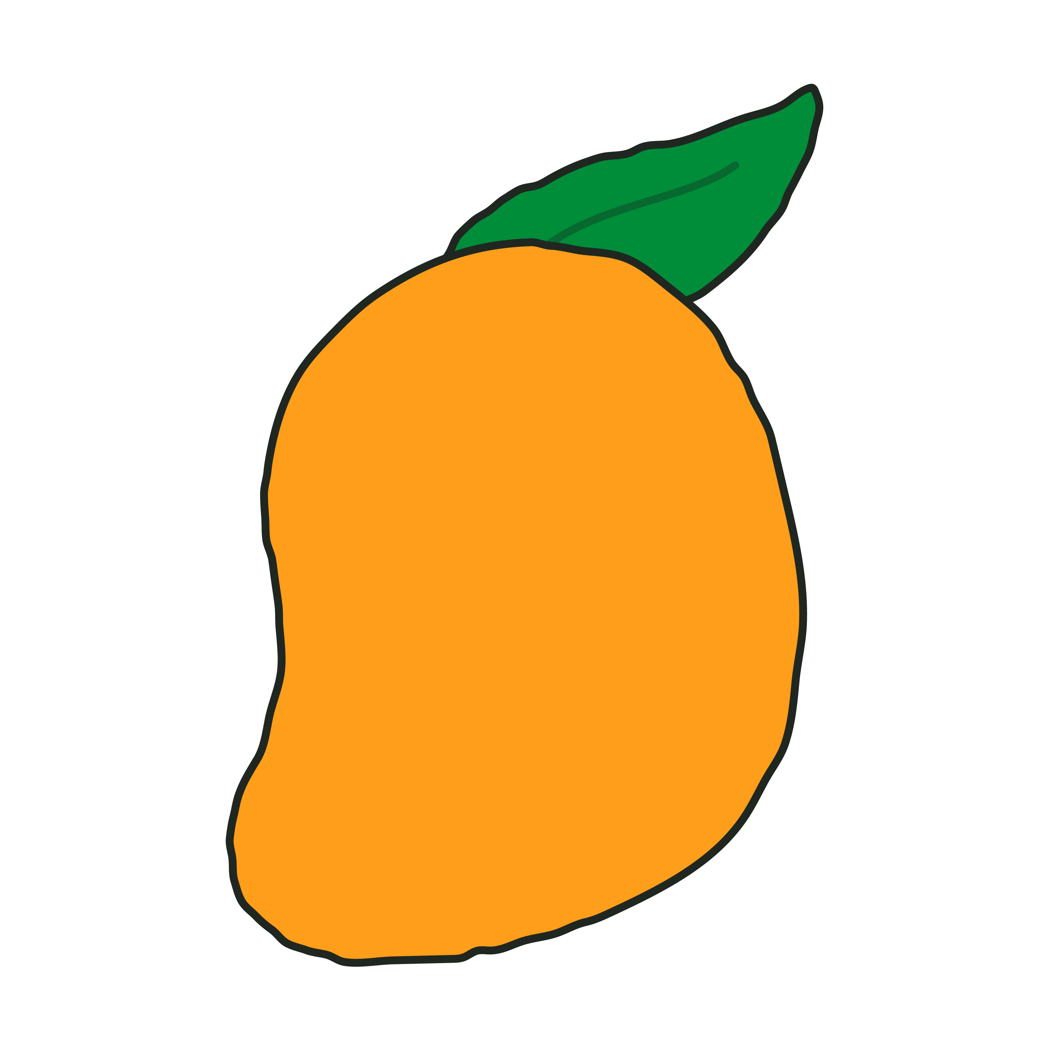 an illustration of mango