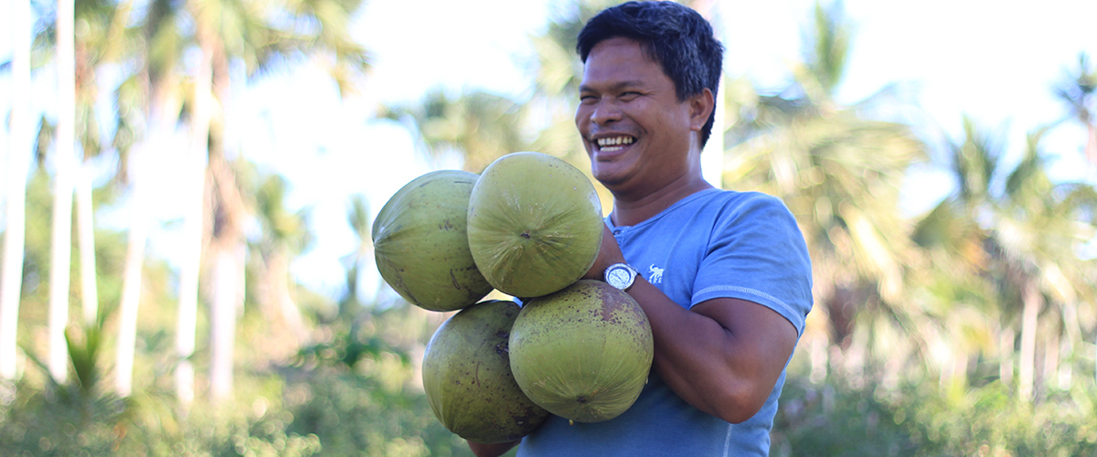 sourching coconut